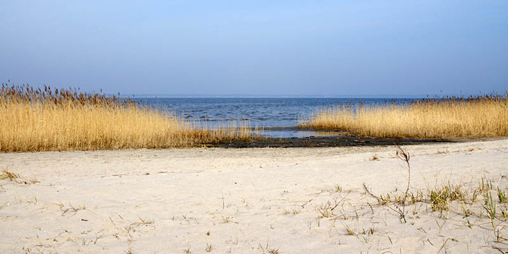 Kadyny - plaża (Kwiecień 2010)