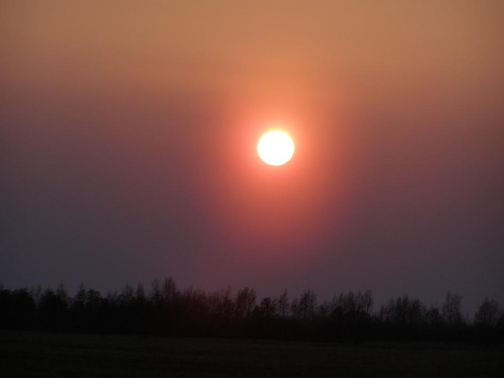 Słoneczko (Kwiecień 2010)