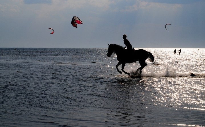 "Cudze chwalicie, swego nie znacie" (Maj 2010)