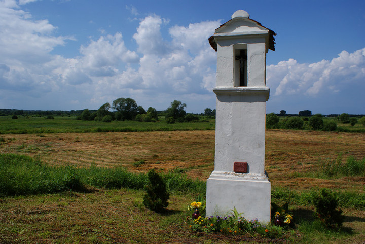 Kapliczka przy drodze (Maj 2010)