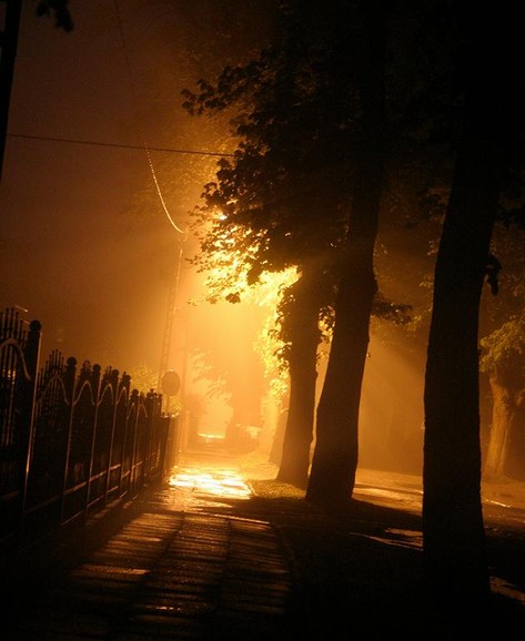 Kadyny nocą we mgle.