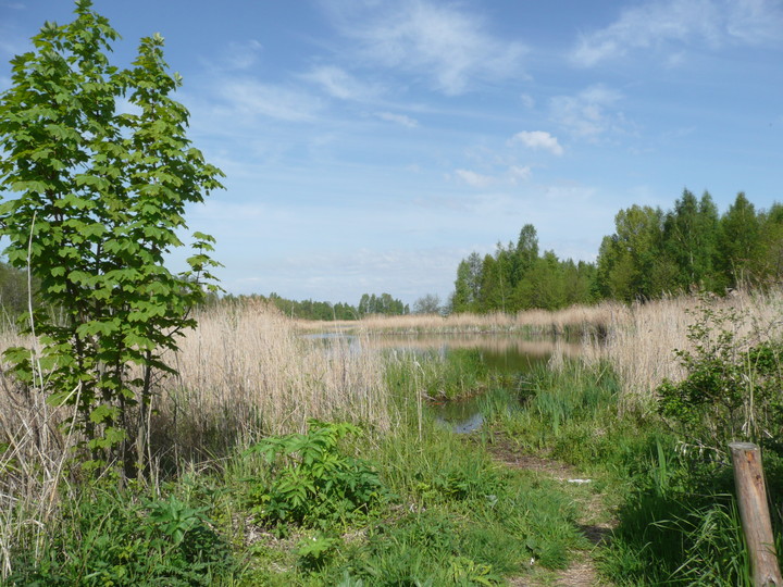 Rezerwat Mewia Łacha (Maj 2010)