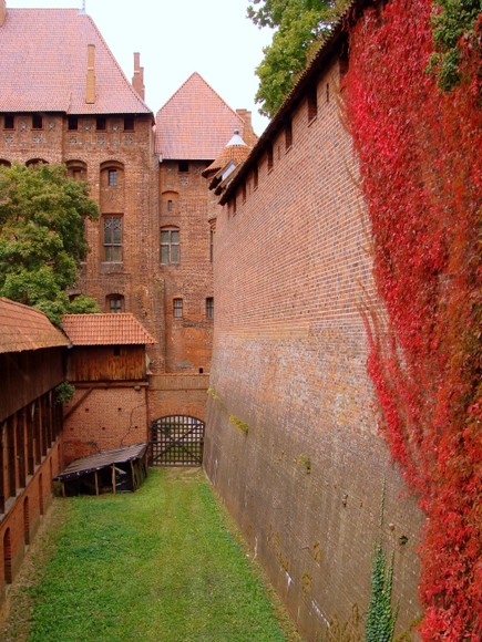 Zamek w Malborku (Czerwiec 2010)