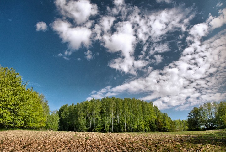 "BlueSky" . . . . nad Milejewem (Lipiec 2010)