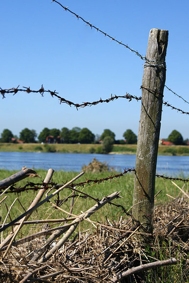 Mikoszewo - przeprawa (Lipiec 2010)