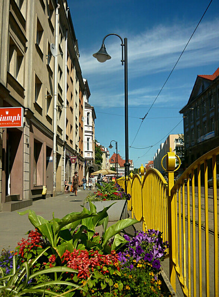 Kolory lipca na Majowej ulicy. (Lipiec 2010)