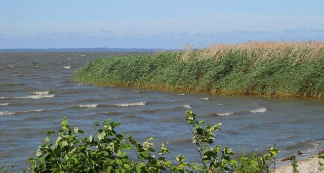 Mała plaża koło Suchacza