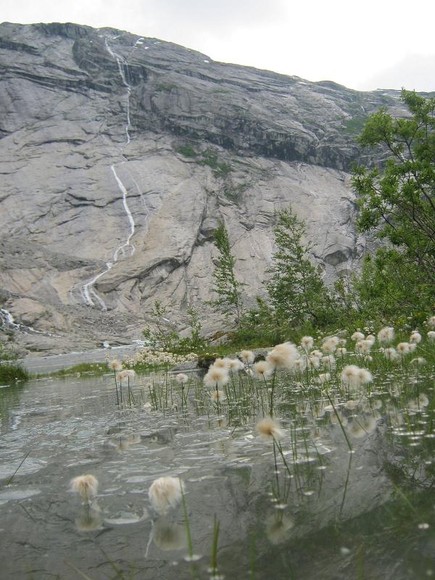 Norweski krajobraz latem
