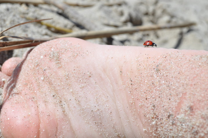 Na plaży, na plaży fajnie jest!