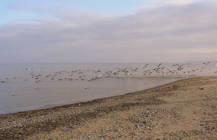 Już nie ma dzikich plaż...