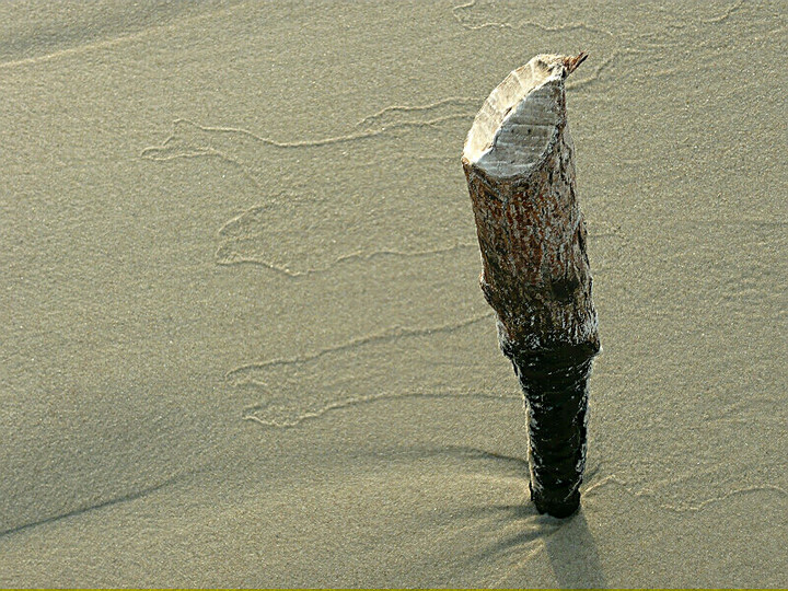 Na plaży w Krynicy. (Sierpień 2010)