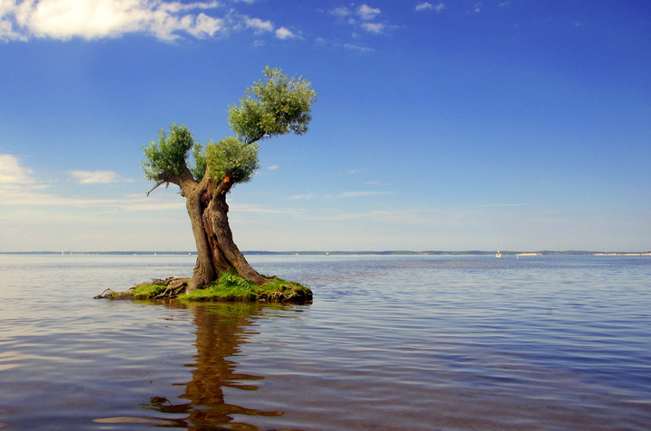 Bonsai - Zalew Wiślany - Nowa Pasłęka