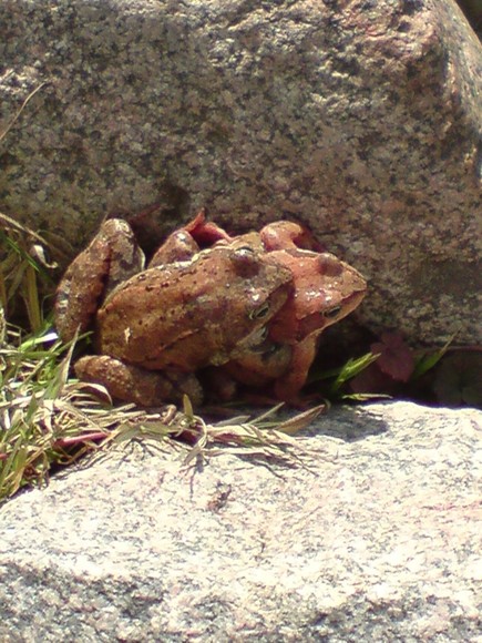 W miłosnym uścisku:) (Sierpień 2010)