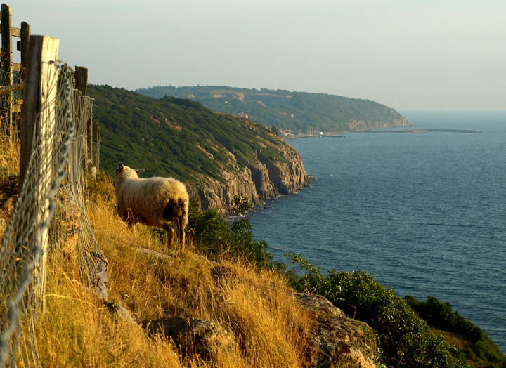 outsider (Bornholm) (Sierpień 2010)