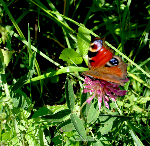 Barwy Świata (Sierpień 2010)