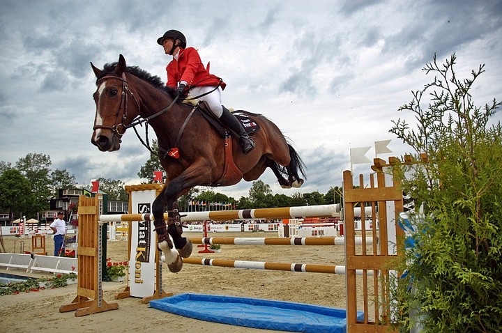 CSIO (Sierpień 2010)