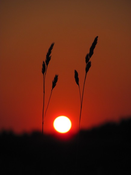Wieczorne mazurskie klimaty... (Sierpień 2010)