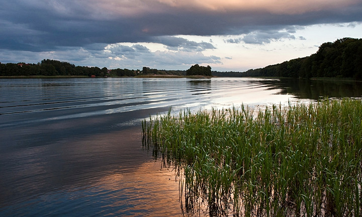 Nad jeziorem (Sierpień 2010)