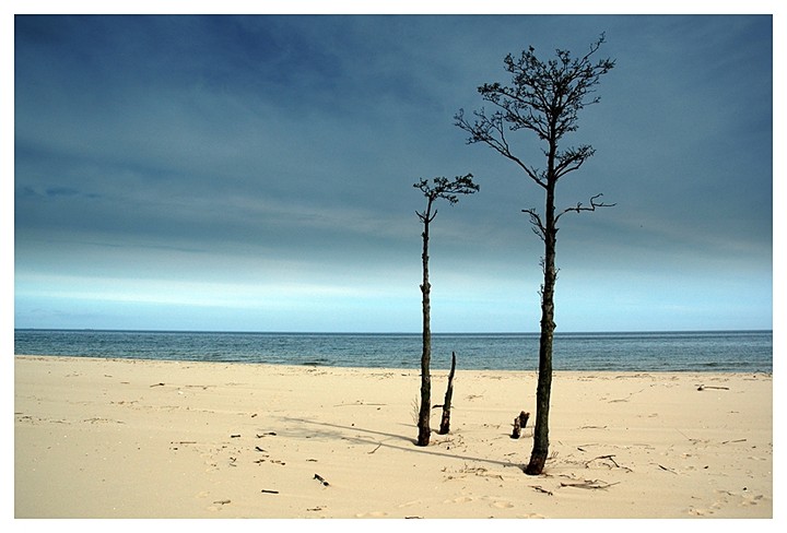 Dwa samotne na brzegu (Sierpień 2010)