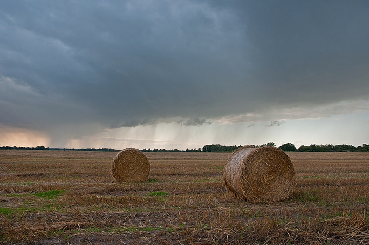 Na chwilę przed deszczem (Sierpień 2010)