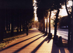 Światłem malowane II
 Zdjęcie nagrodzone w konkursie na fotkę września