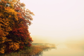 Jesiennie i mglisto
