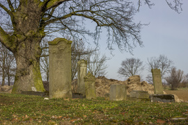 Cmentarz Mennonicki