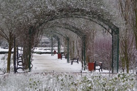 Park różany zimą