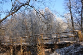 Zimowe ujęcie mostka w Bażantarni .