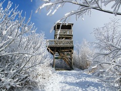 Rezerwat ornitologiczny - wieża obserwacyjna na J.Drużno przy ujściu rzeki Dzierzgoń