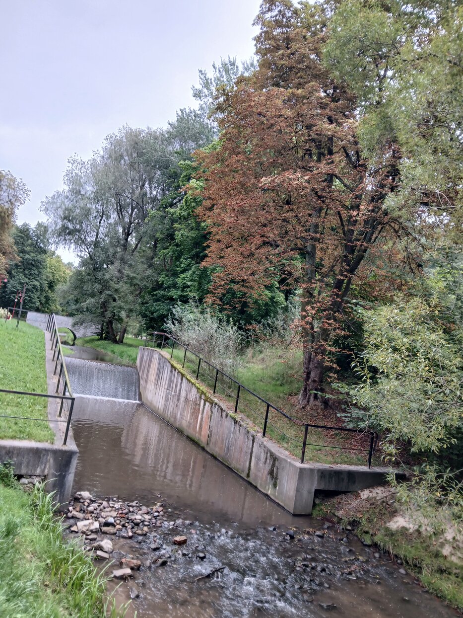 Kuciński