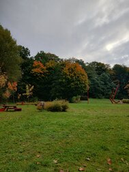 Kuciński