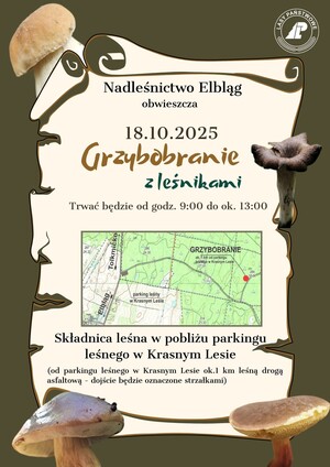 Grzybobranie z leśnikami