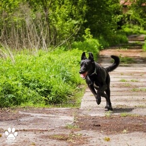 Wiosenny Bieg na 6 Łap