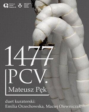 1477 PCV. w Galerii EL
