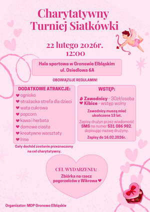 Charytatywny turniej siatkówki