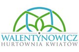 Hurtownia Kwiatów Walentynowicz Elblag