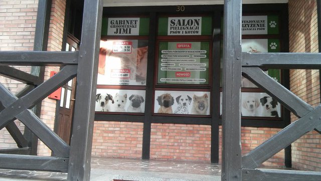 Elbląg Zakłady Fryzjerskie Dla Psów