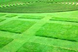 greensky