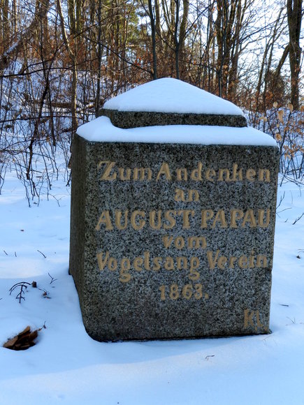 Obelisk Augusta Papau na zielonym szlaku w Bażantarni. (Luty 2014)