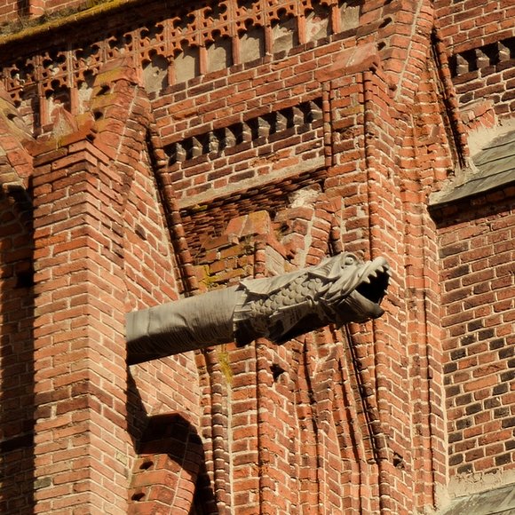 Frombork. Rzygacz.