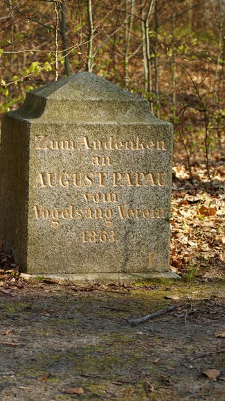 Obelisk w Bażantarnii