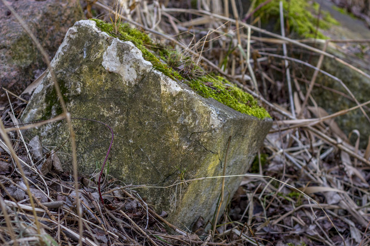 Fragment prawdopodobnie nabrzeża.