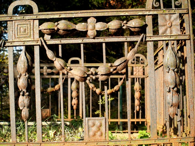 Fragment żelaznego ogrodzenia pochodzącego z przykościelnego cmentarza. Miejscowość Próchnik. (Listopad 2009)