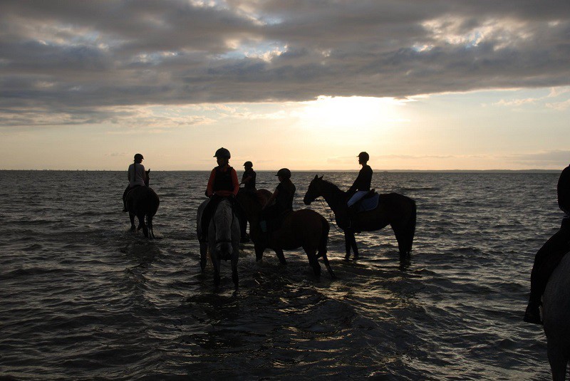 Elbląg, Pony Cup już wkrótce w Stajni Lipnik