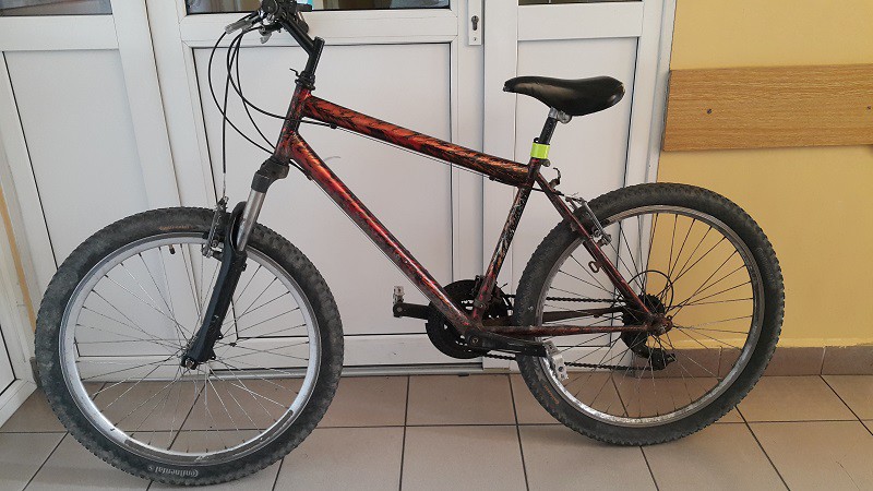 Elbląg, Kto jest właścicielem roweru? Elbląg, Kto jest właścicielem roweru?