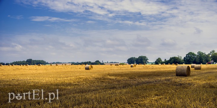 Elbląg, Co wiesz o Żuławach? Sprawdź się!