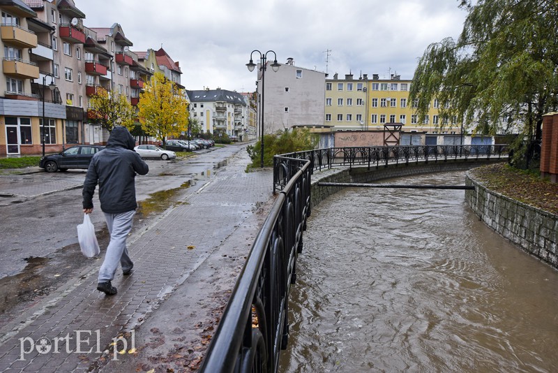 Elbląg, Najbardziej newralgicznym miejscem, gdzie Kumiela może dać się we znaki, są okolice ul. Związku Jaszczurczego