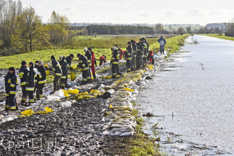 Elbląg, Natura dała nam ostrzeżenie - mówią urzędnicy odpowiedzialni za ochronę przeciwpowodziową. Na zdjęciu uszczelnianie wału w Stankowie na Żuławach Elbląskich