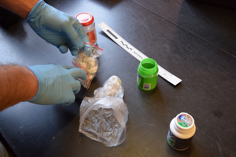 Elbląg, Złapany na gorącym uczynku